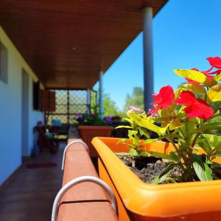 Apartman Dunav Aljmaš المظهر الخارجي الصورة